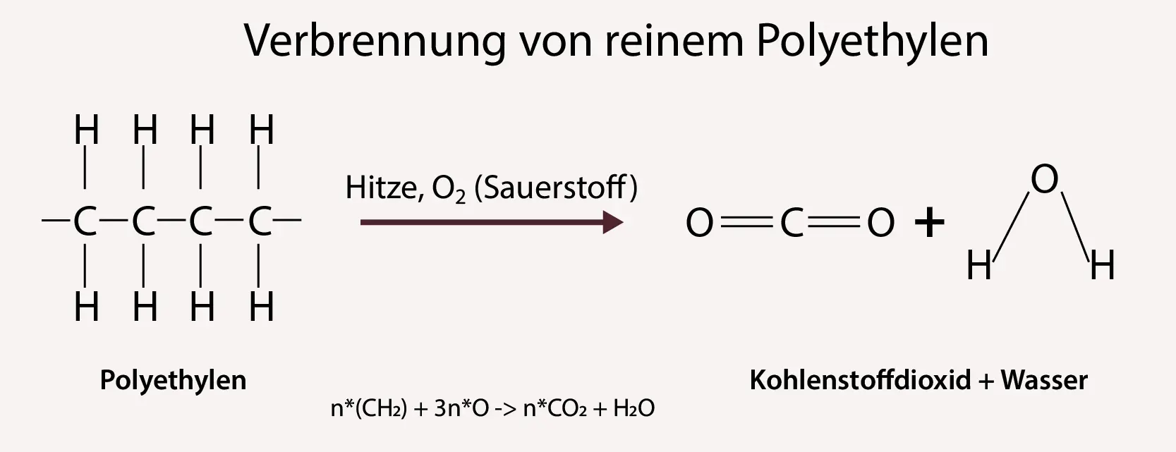 Stiftung Altes Neuland Frankfurt GNU