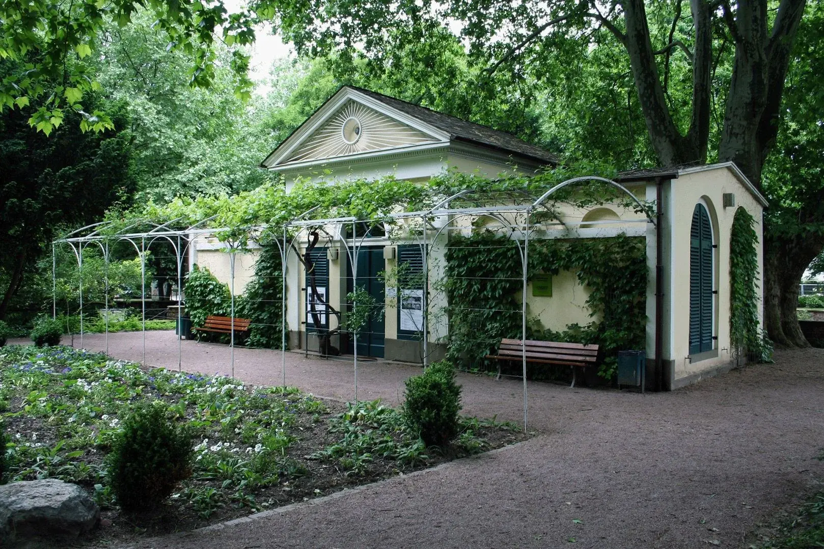 Fassadengruen A. Koehler Wikimedia
