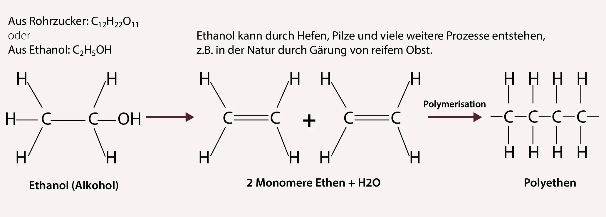 Stiftung Altes Neuland Frankfurt GNU