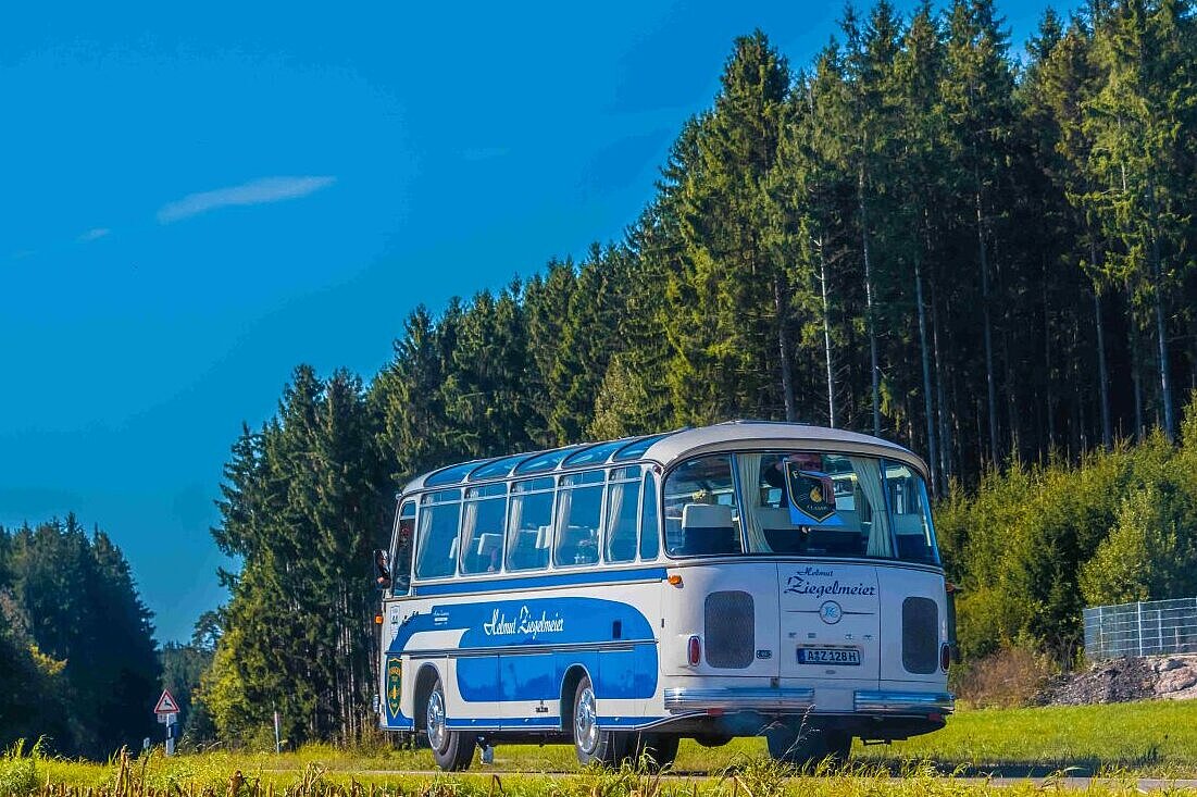 Gaschwald - istockphoto.com